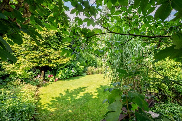 Foto 59 van Cleopatralaan 12