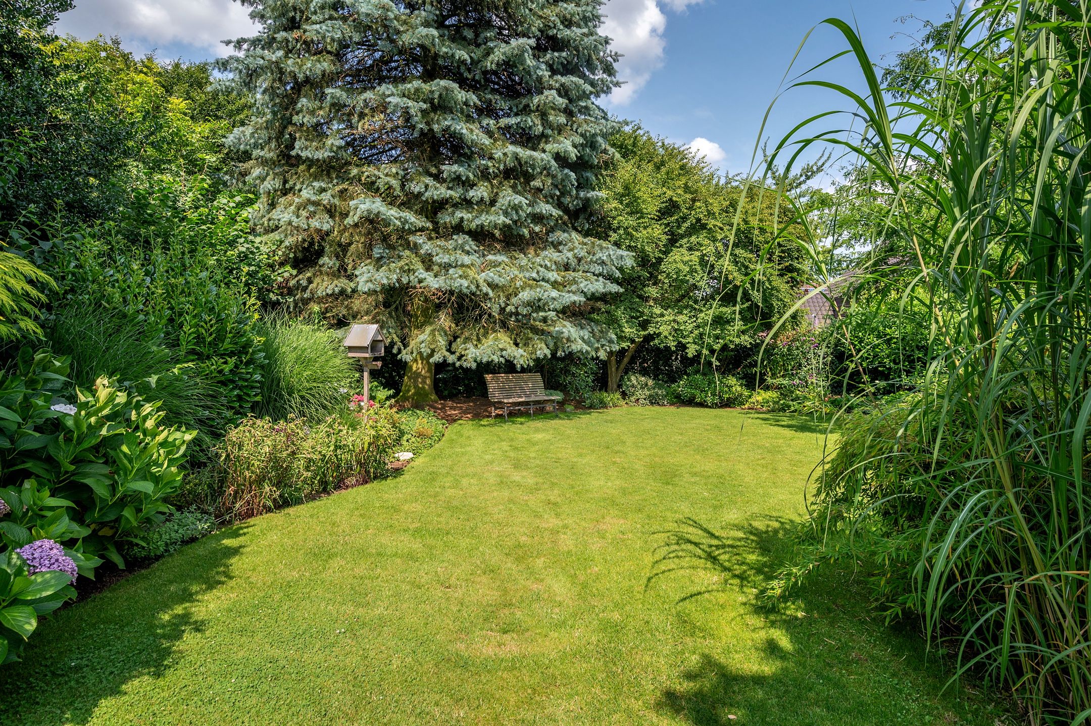 Foto 60 van Cleopatralaan 12