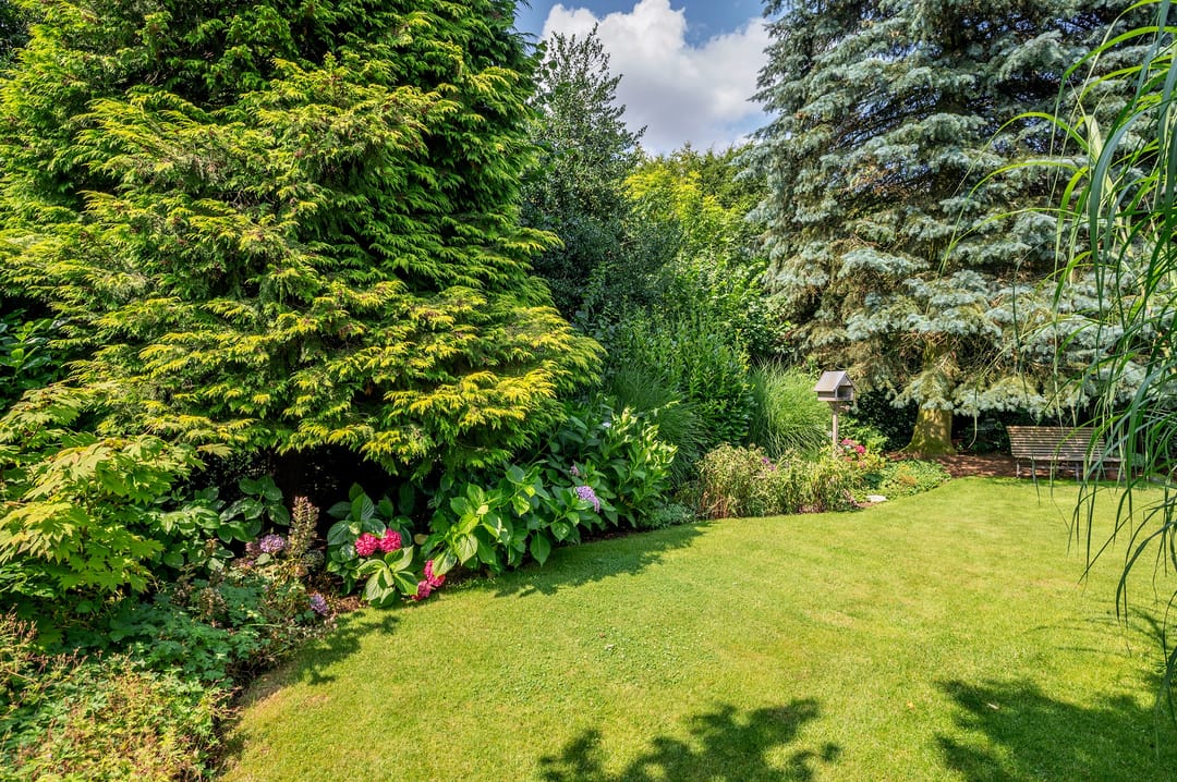 Foto 61 van Cleopatralaan 12