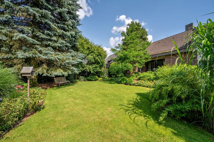 Foto 62 van Cleopatralaan 12