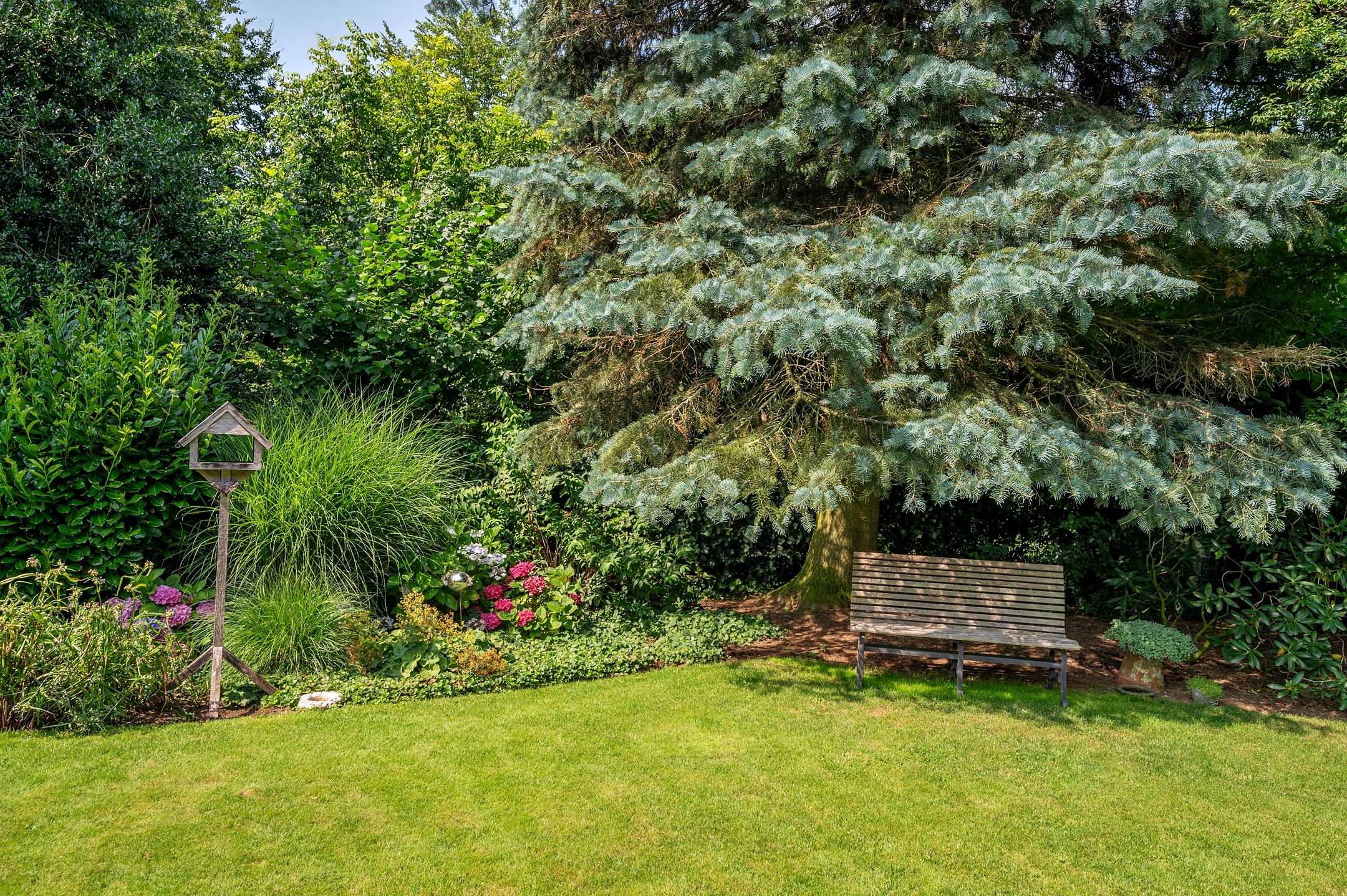 Foto 63 van Cleopatralaan 12