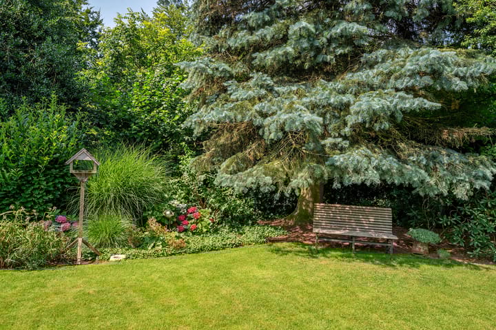 Foto 63 van Cleopatralaan 12