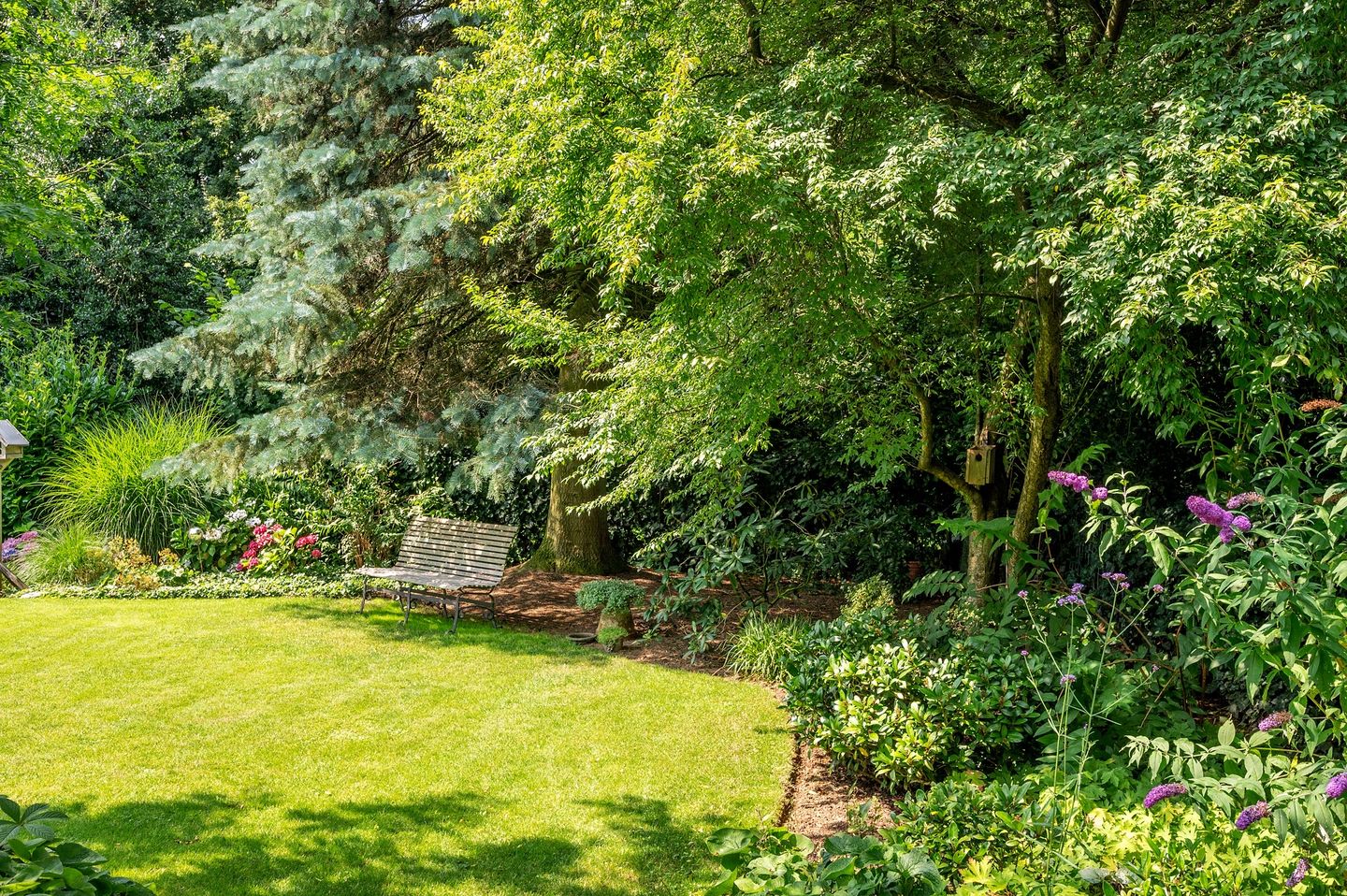 Foto 64 van Cleopatralaan 12