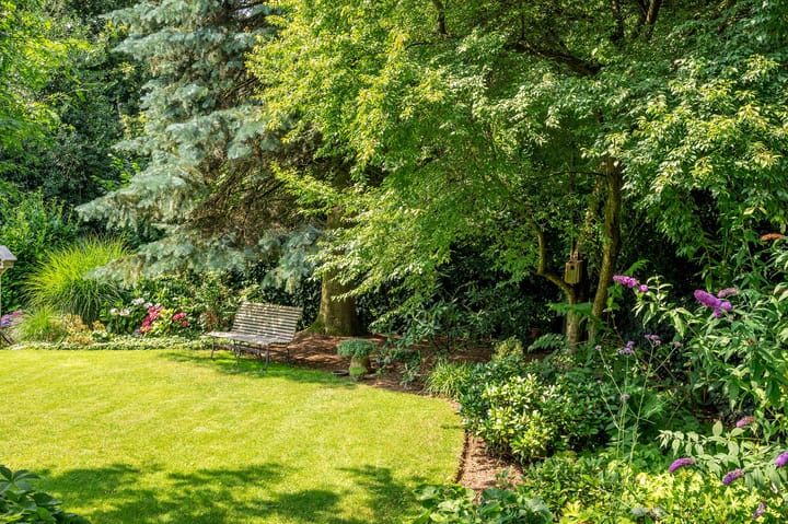 Foto 64 van Cleopatralaan 12