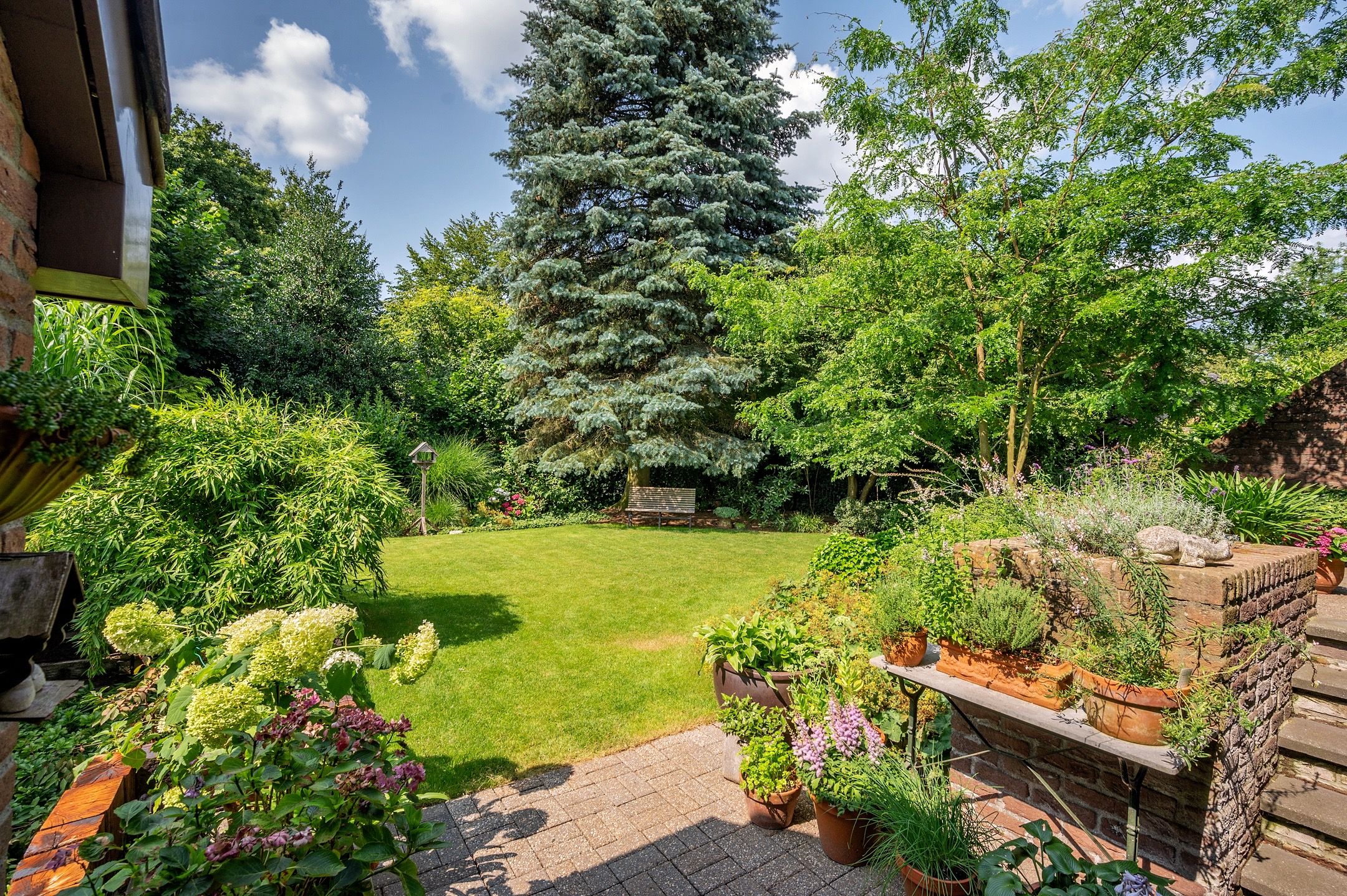 Foto 66 van Cleopatralaan 12