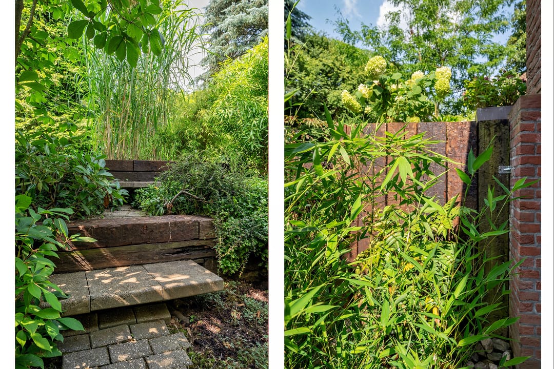 Foto 68 van Cleopatralaan 12