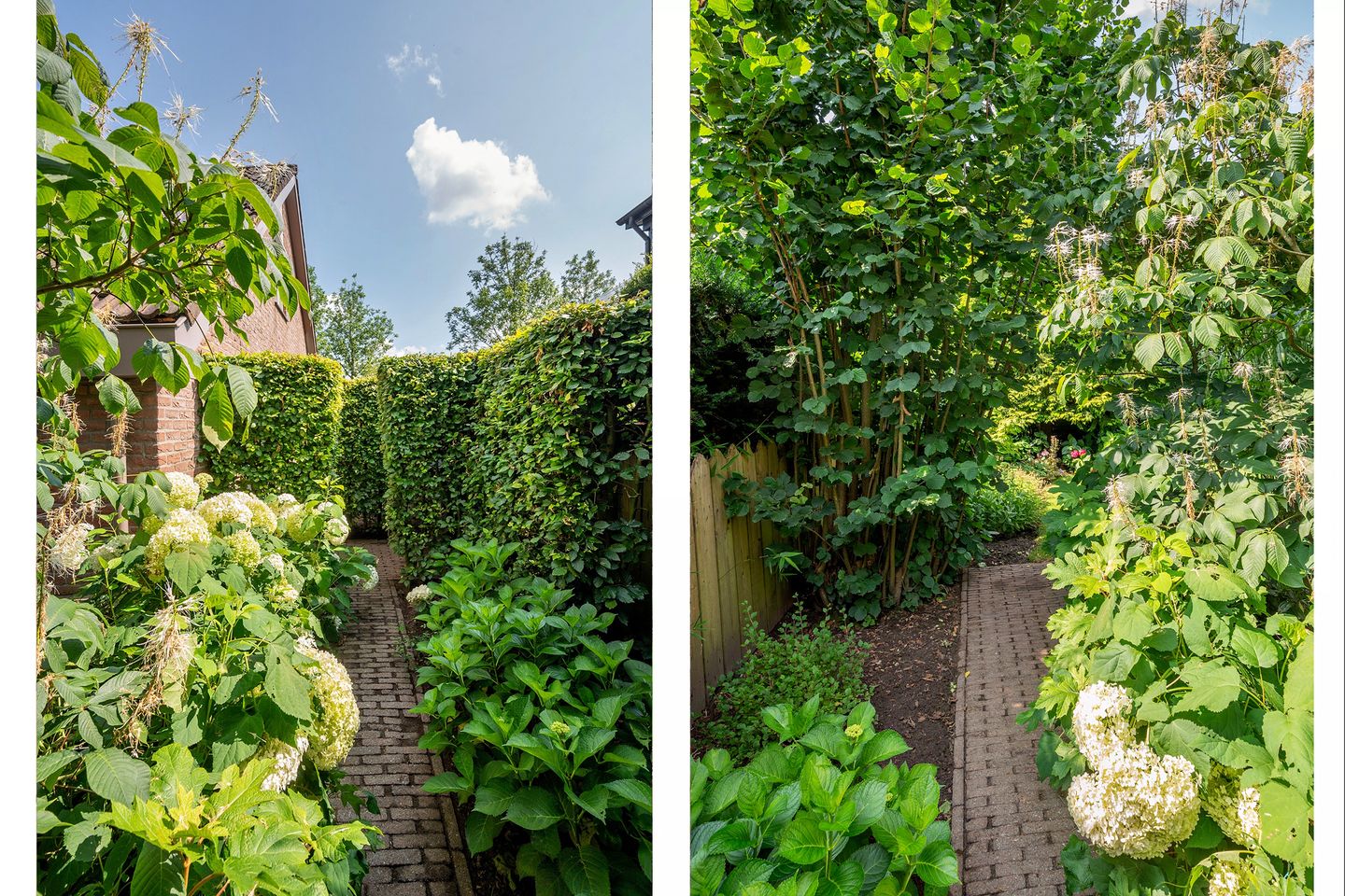 Foto 70 van Cleopatralaan 12