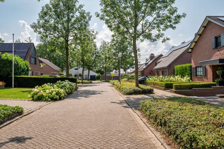 Foto 72 van Cleopatralaan 12