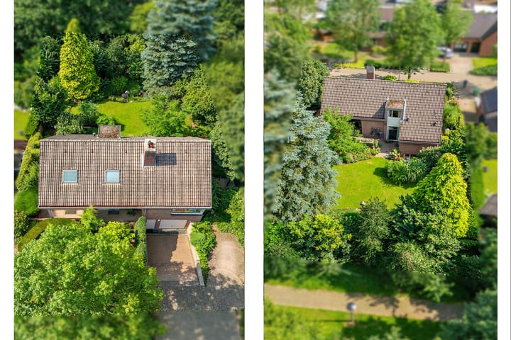 Foto 74 van Cleopatralaan 12