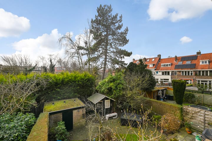 Foto 18 van Looierslaan 59