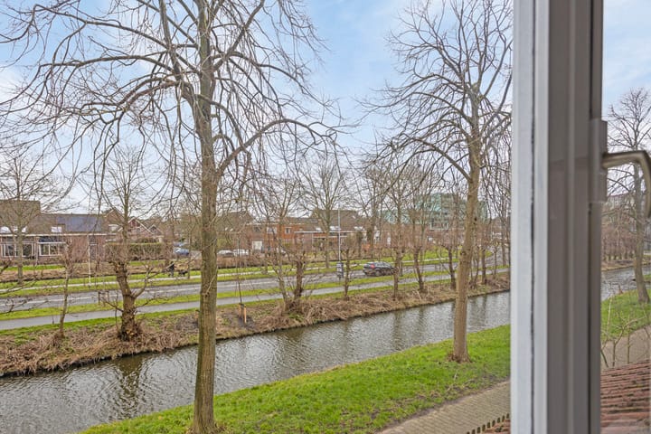 Foto 21 van Hoefblad 69