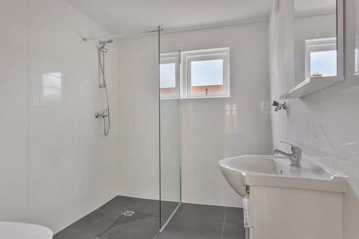 Foto 3 van Hoefblad 69