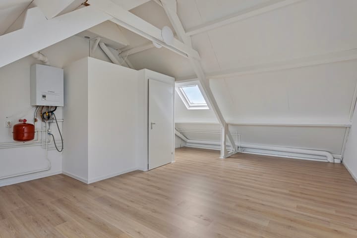 Foto 25 van Hoefblad 69