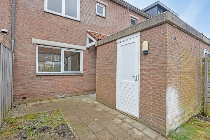 Foto 28 van Hoefblad 69