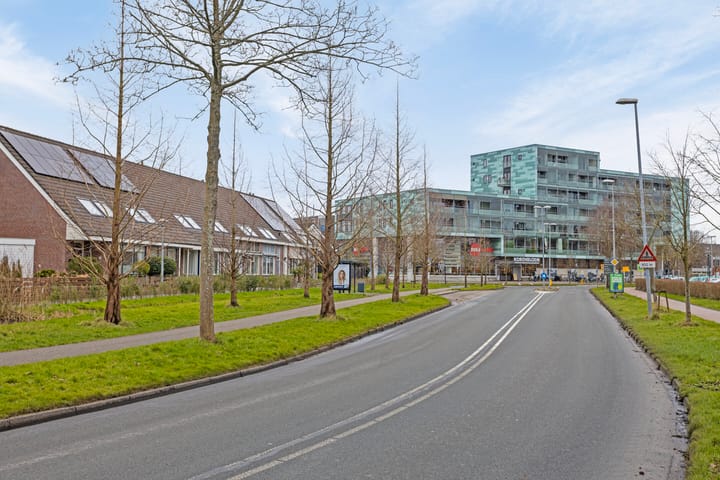 Foto 35 van Hoefblad 69