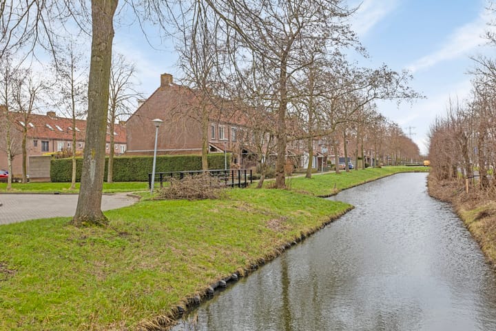 Foto 34 van Hoefblad 69