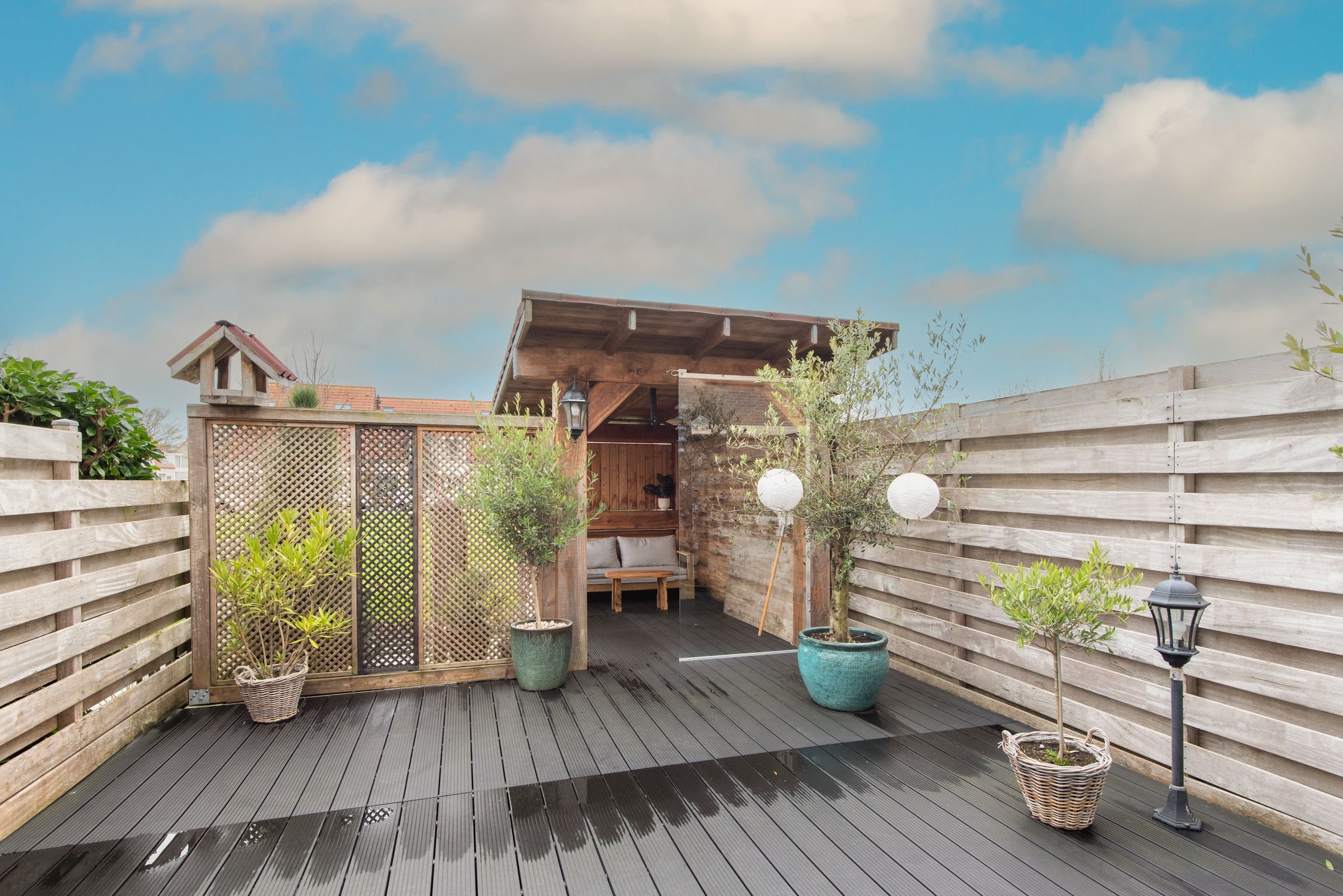 Foto 6 van Moerasandoorn 41