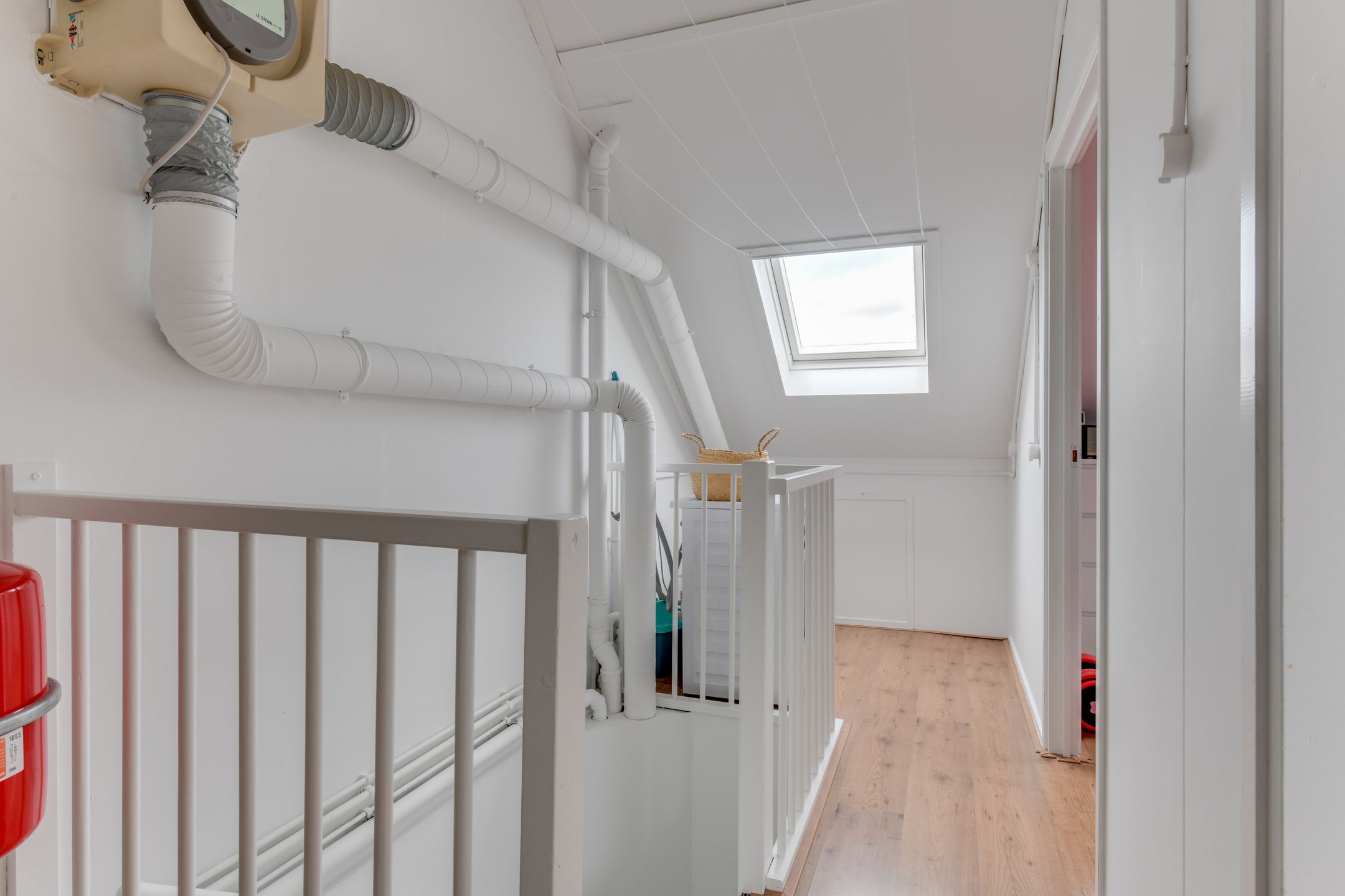 Foto 30 van Moerasandoorn 41