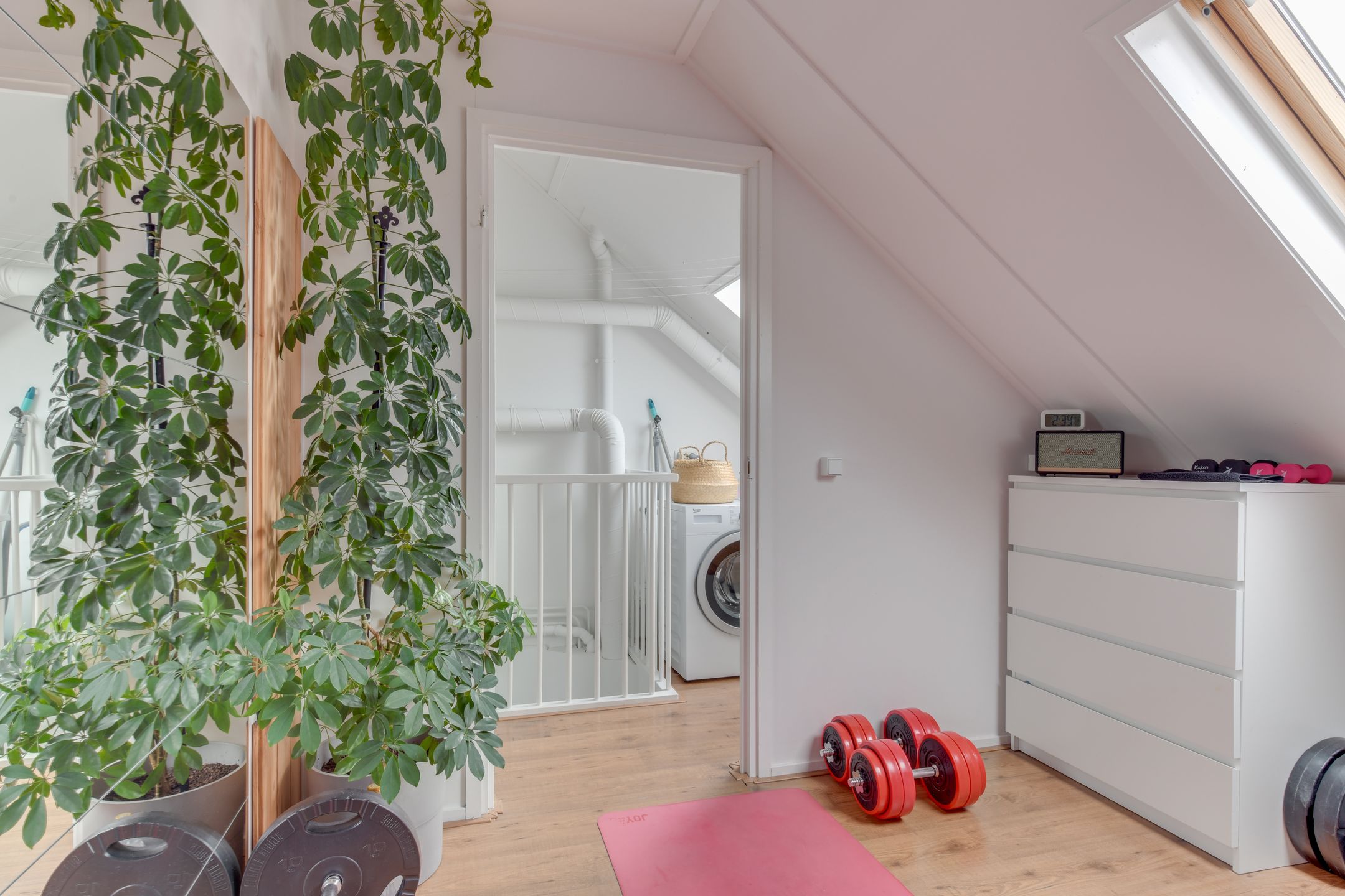 Foto 33 van Moerasandoorn 41