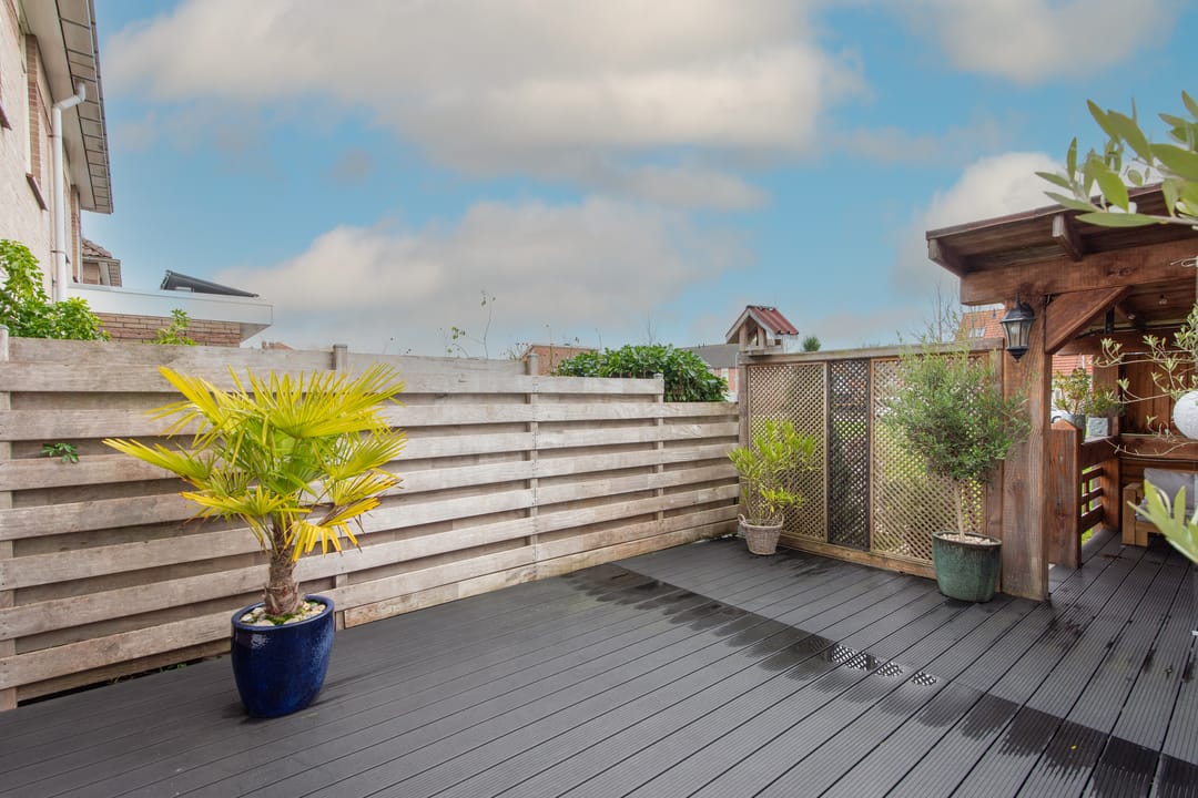 Foto 37 van Moerasandoorn 41