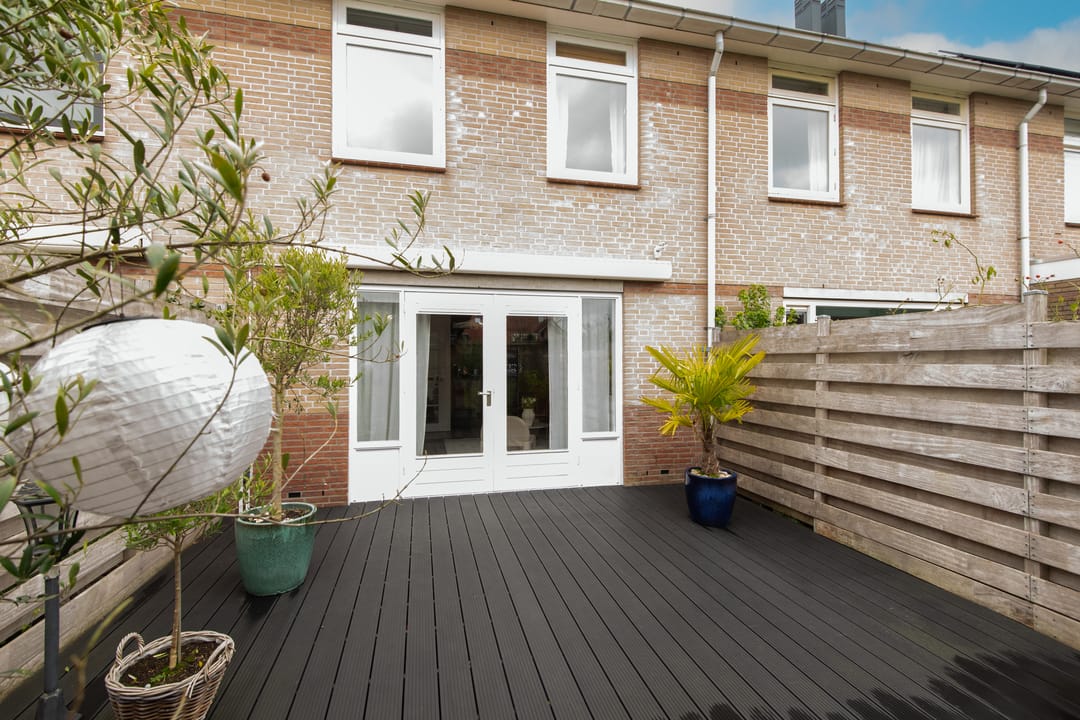 Foto 41 van Moerasandoorn 41