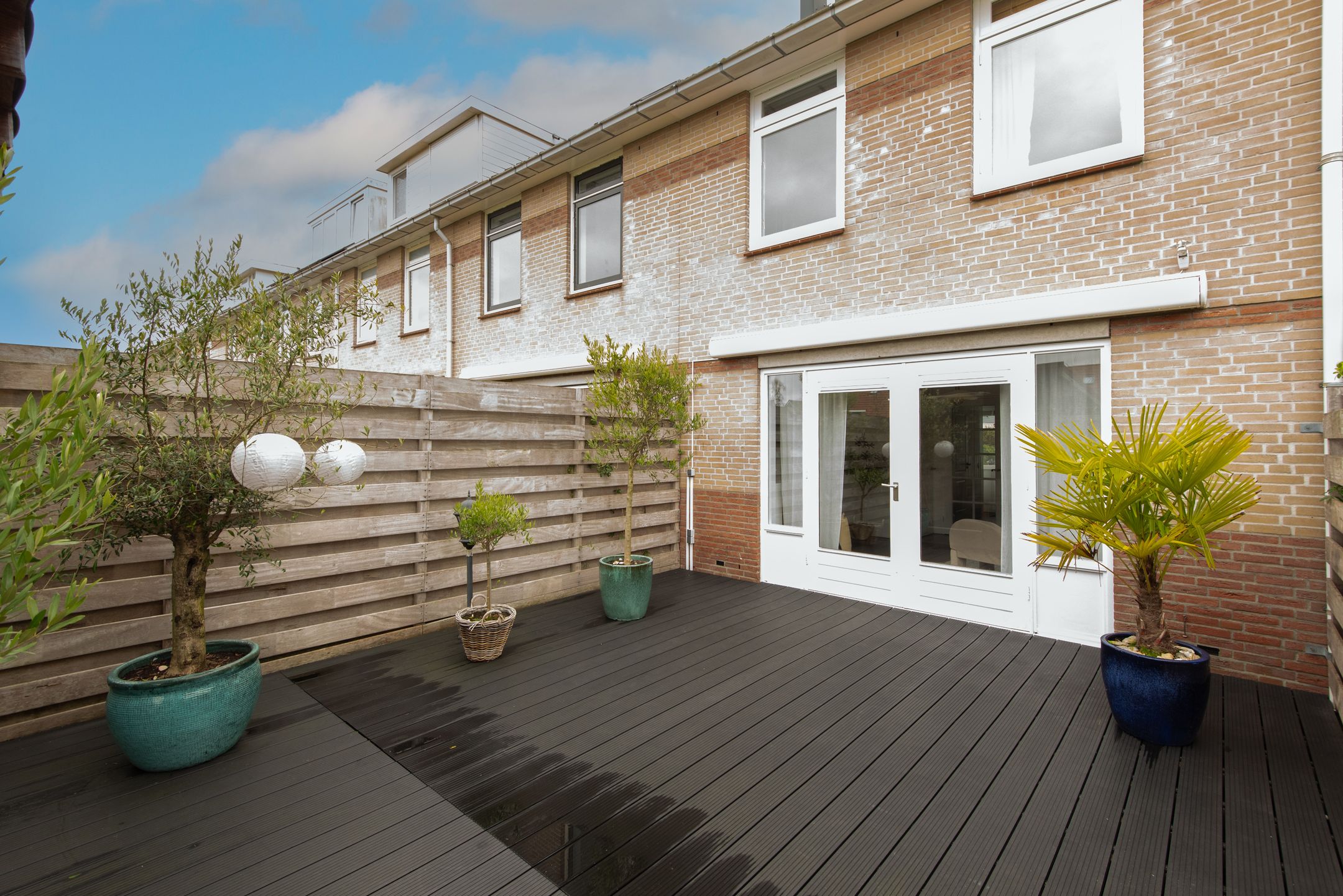 Foto 42 van Moerasandoorn 41