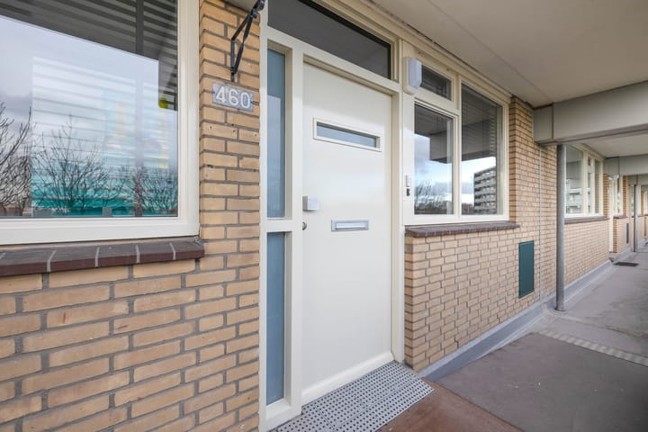 Foto 8 van Stadhoudersring 460