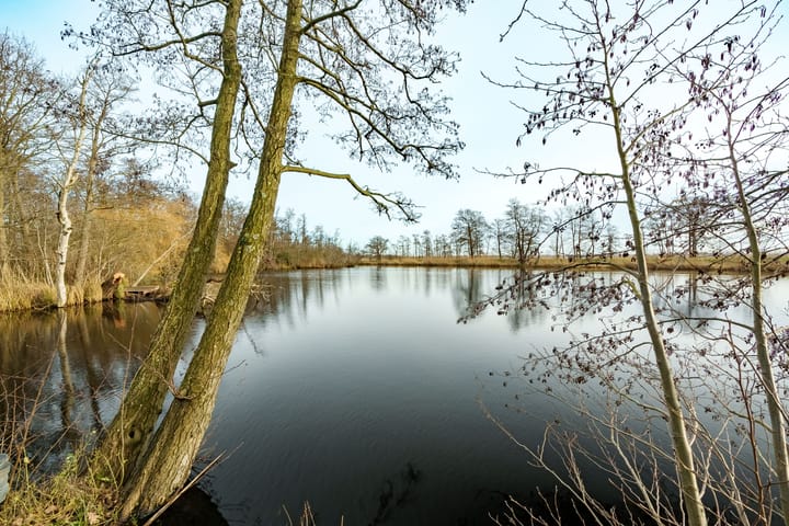 Foto 4 van Kleizuwe 6-A