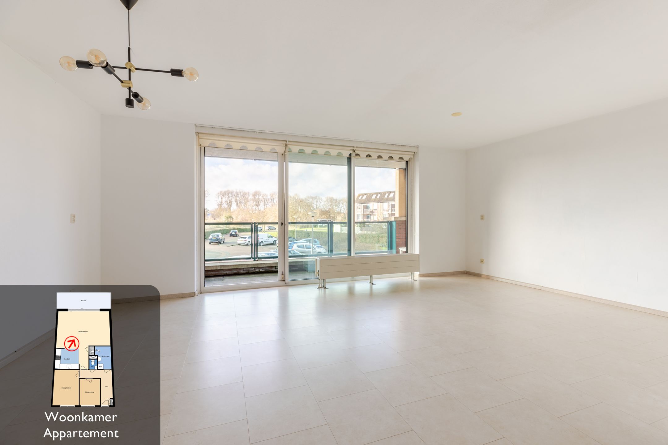 Foto 12 van Atalanta 101