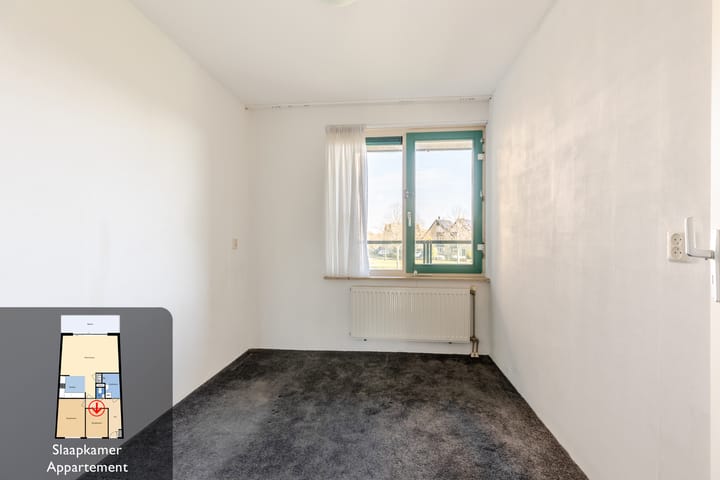 Foto 20 van Atalanta 101