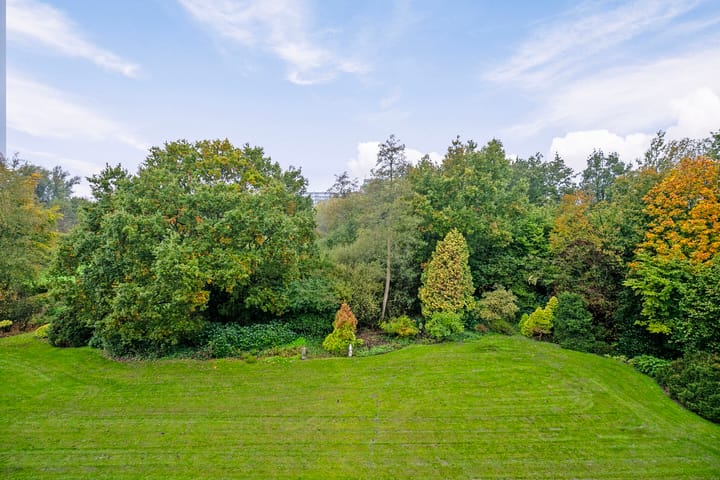 Foto 34 van Adelaartlaan 40