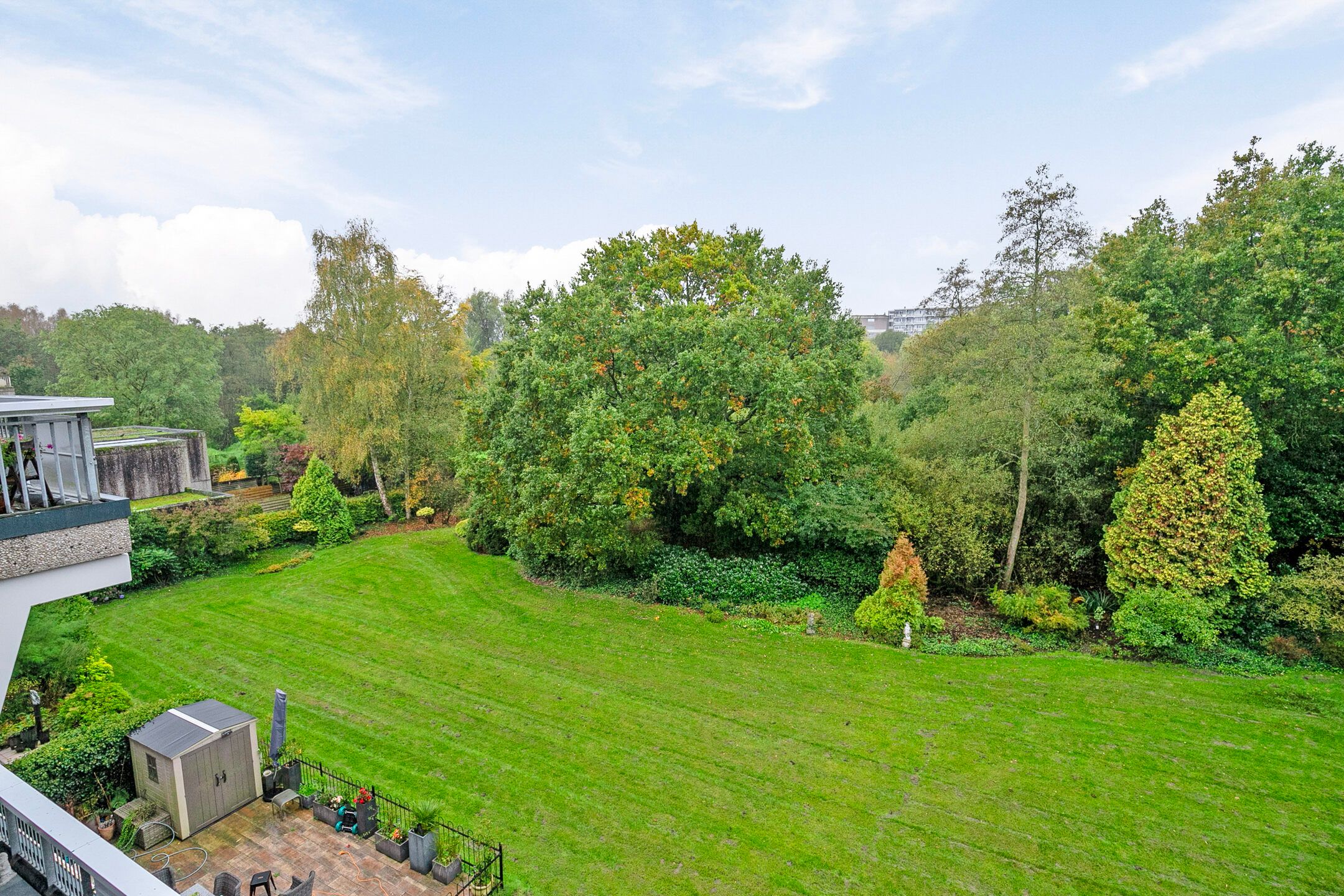 Foto 36 van Adelaartlaan 40