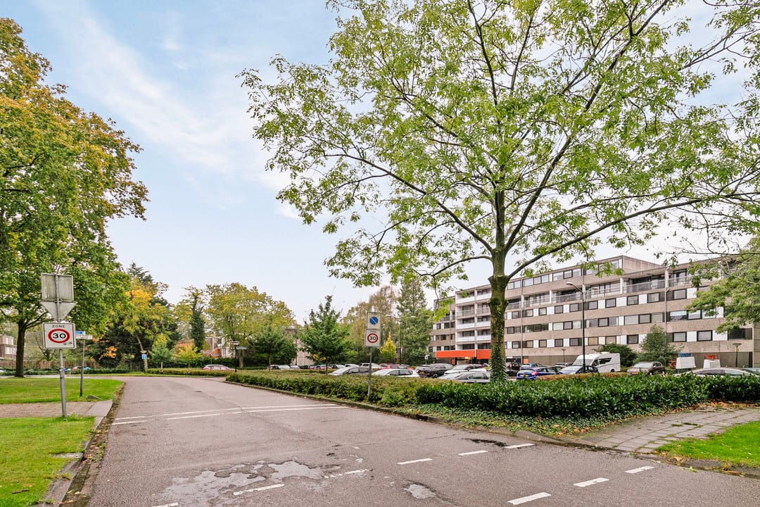 Foto 38 van Adelaartlaan 40