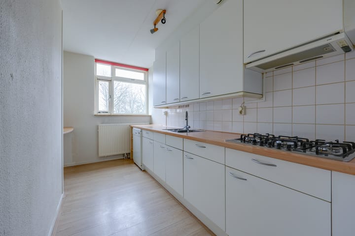 Foto 3 van Terpmeent 23