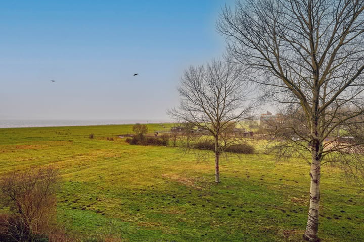 Foto 4 van Terpmeent 23