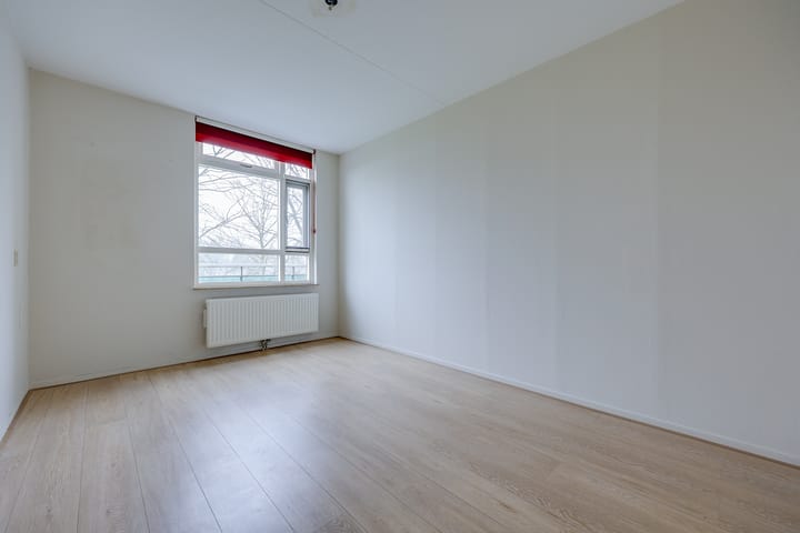 Foto 14 van Terpmeent 23