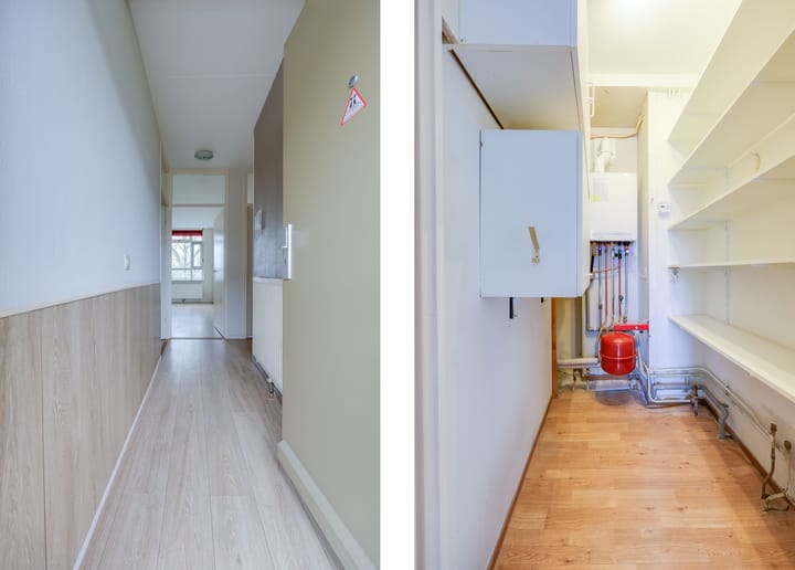 Foto 23 van Terpmeent 23