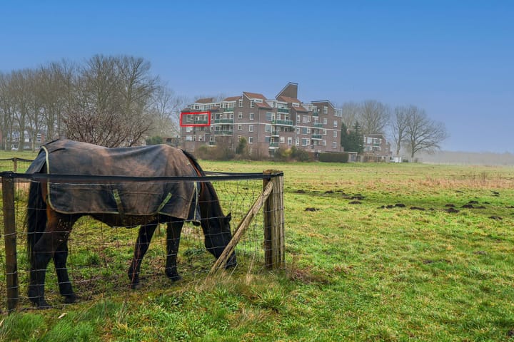 Foto 39 van Terpmeent 23