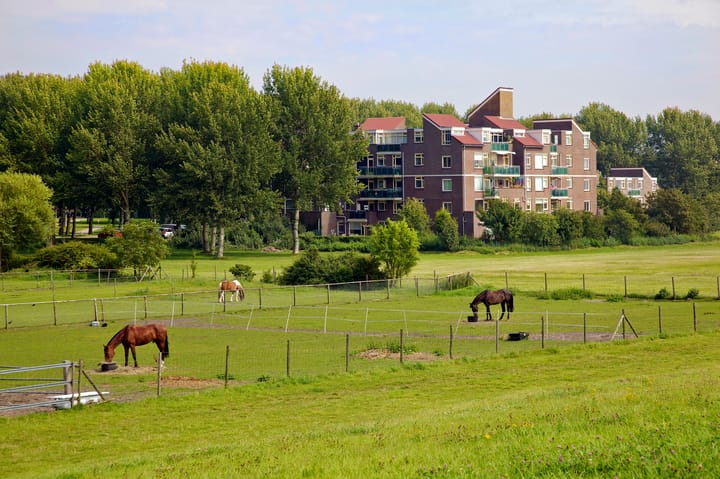 Foto 41 van Terpmeent 23