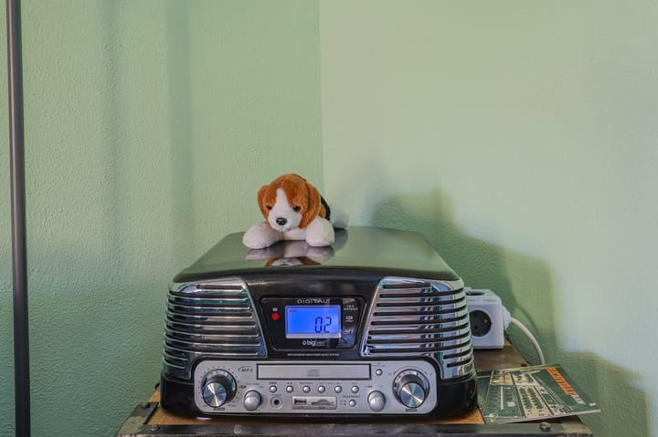 Foto 17 van L. van der Wielstraat 29