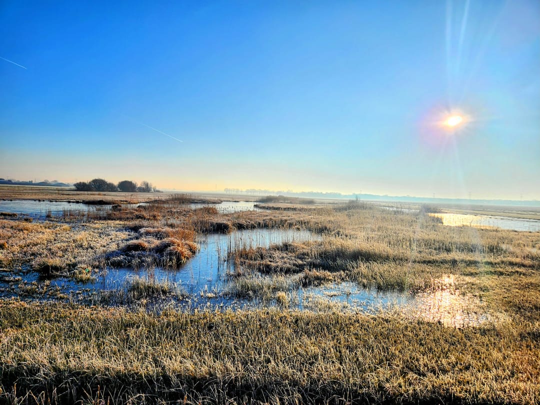 Foto 73 van Hoevenseweg 1-A