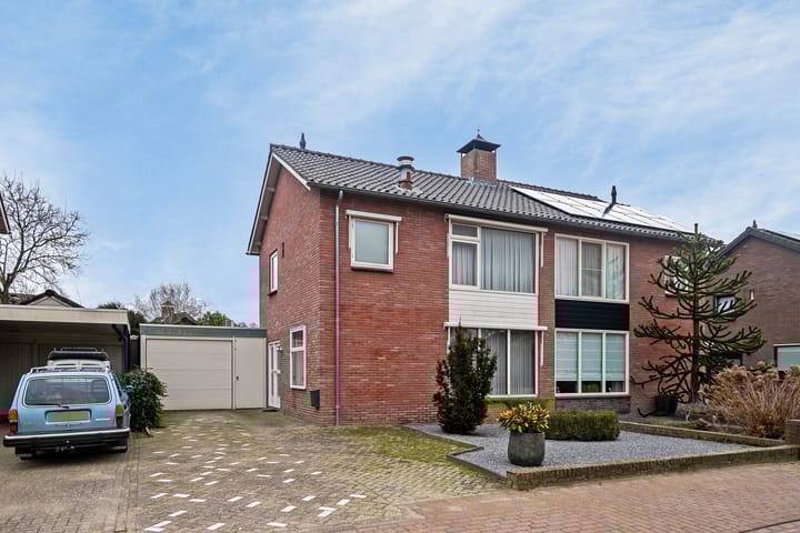 undefined main image