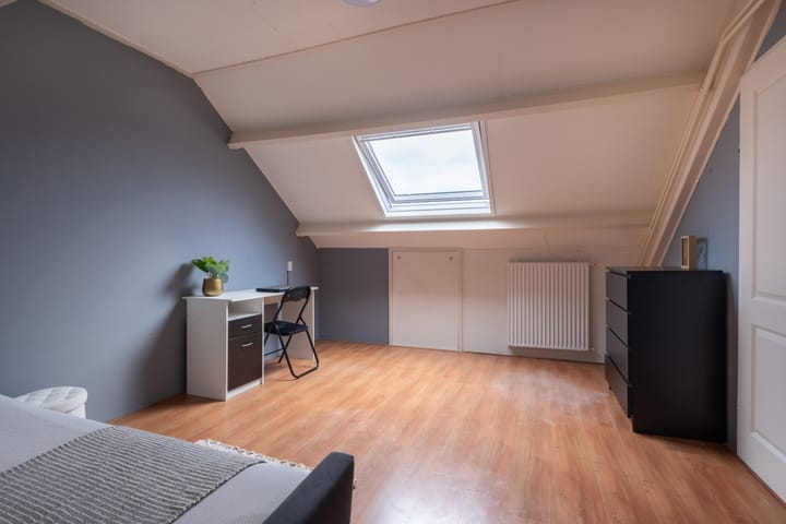 Foto 42 van Johan de Wittstraat 30