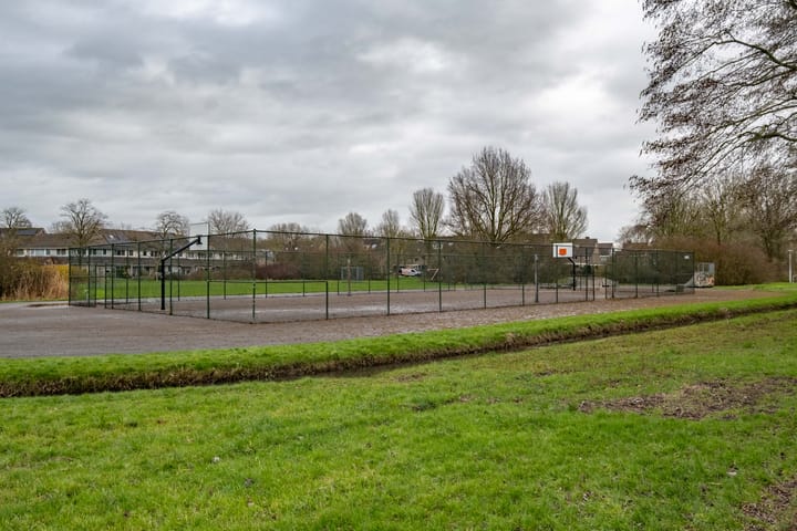 Foto 50 van Johan de Wittstraat 30