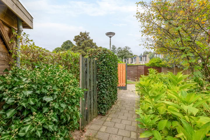 Foto 43 van Diamant 75