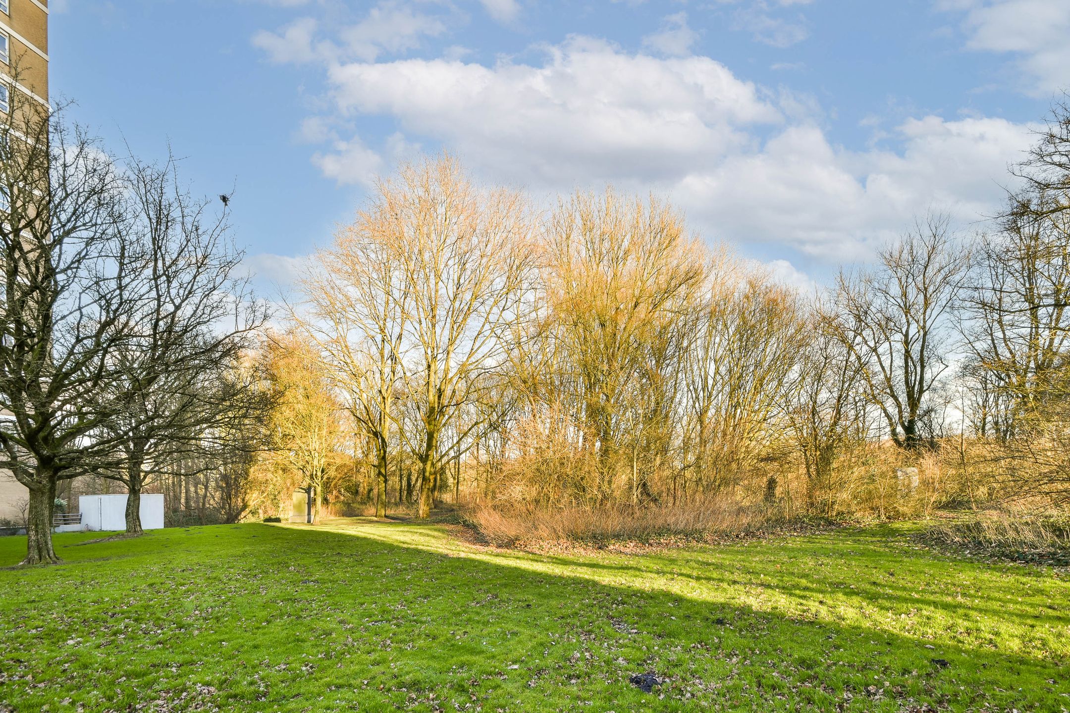 Foto 18 van Nachtwachtlaan 247