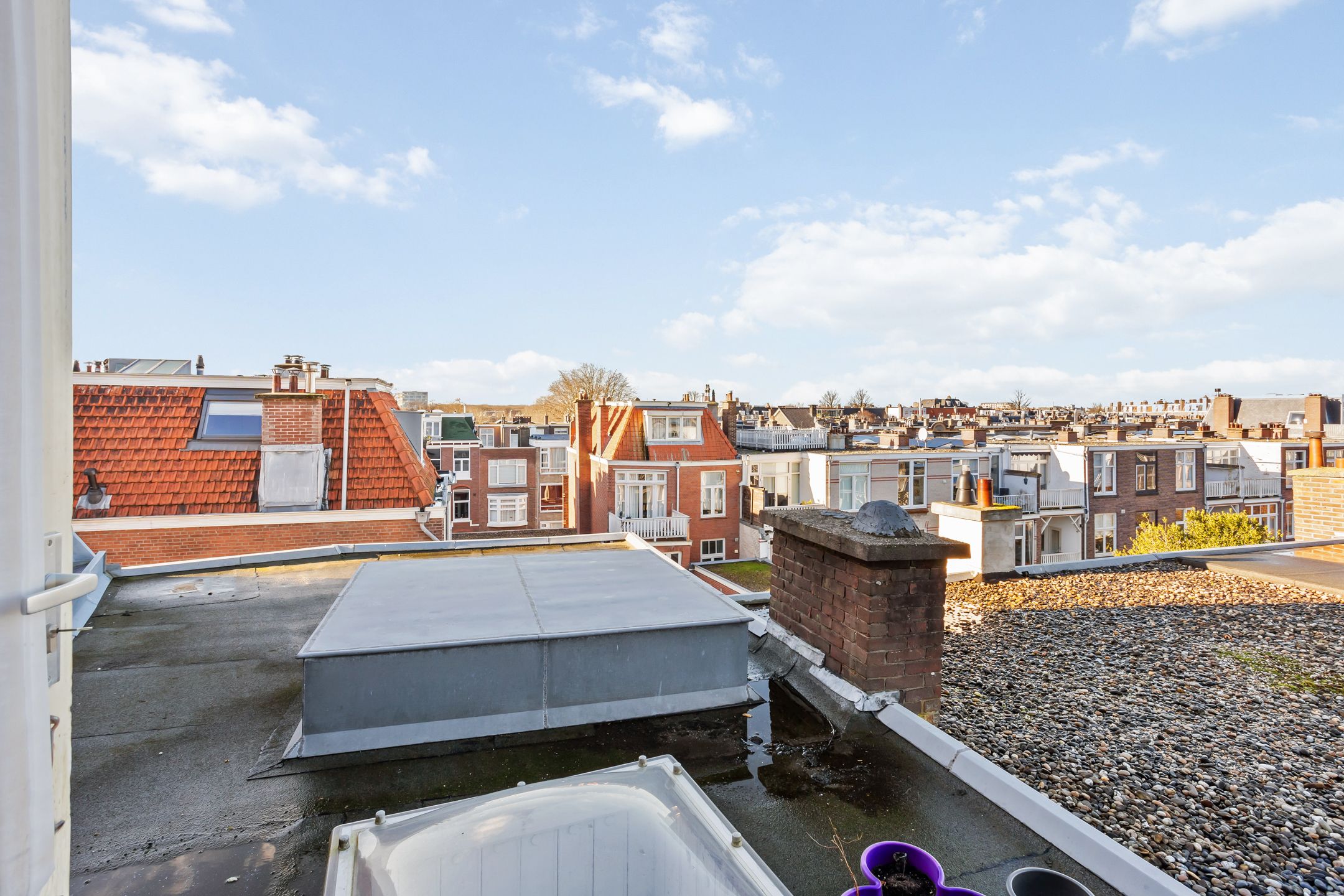 Foto 45 van Adriaan Pauwstraat 41