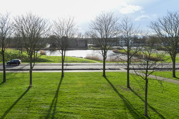 Foto 2 van Koraal 140