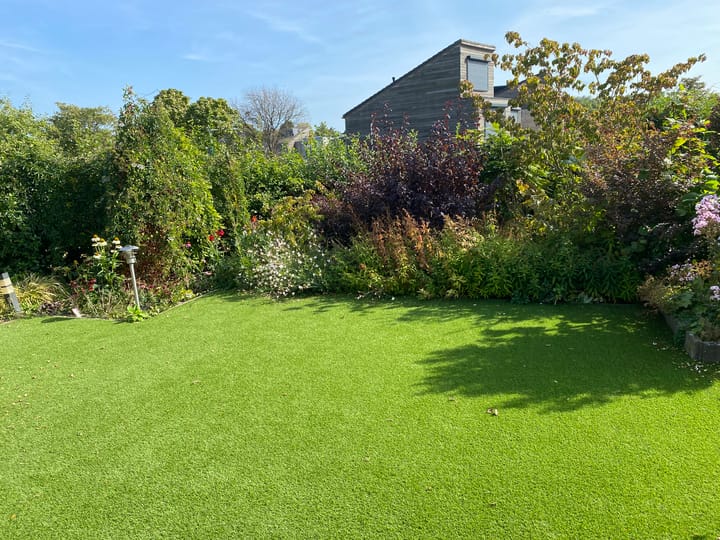 Foto 46 van Banmolen 10