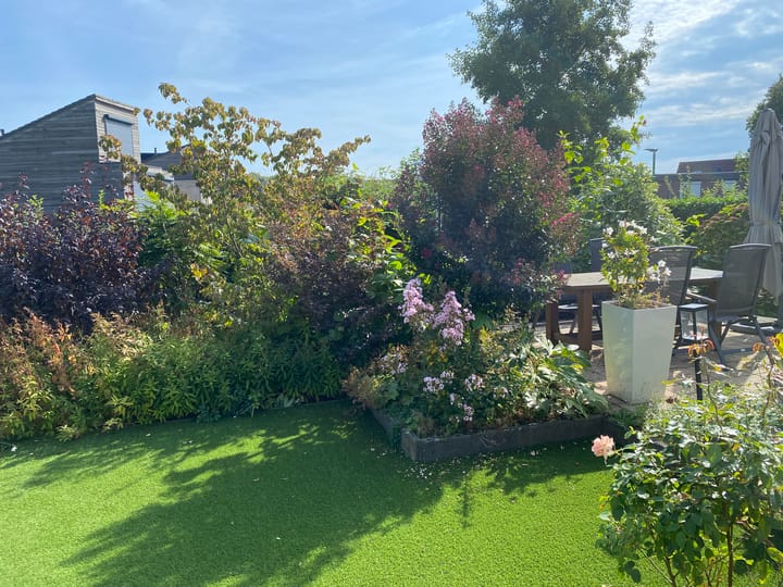 Foto 47 van Banmolen 10